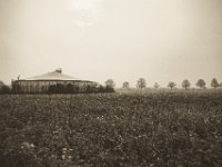 Maststallanlage  Pentax K-1, SMC Pentax -FA 1.8/31 AL Limited   - 25.12.2019 - : Landschaft, Felder, Mastanlage, Niederrhein