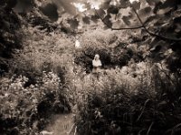 Blick in den Garten  Pentax K2, SMC 2.8/24, Gelbfilter, Bergger Pancro400
