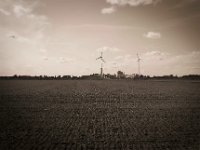 Energie im Feld  Pentax K-1, SMC Pentax-FA 1.8/31 AL Limited  - 24.09.2020 -