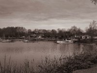 Seestern  Pentax K-1, SMC Pentax-FA 1.9/43 Limited  - 03.01.2021 -