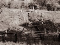 Sieht harmlos aus  Pentax MZ-S, SMC FA  1.9/43 Limited, Gelbfilter, Adox CHS 100 II  - 27.04.2022 -
