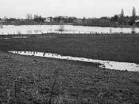 Lippe Naturschutz  Pentax MZ-S, Pentax SMC 1.9/43 Limited, Adox CHS 100II  - 28.01.2024 -
