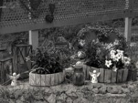 Erinnerungsort  PENTAX K-3 Mark III Monochrome, SMC PENTAX-FA 1.9/43 Limited  - 04.07.2025 -