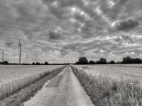 Zwischen Getreidefeldern  PENTAX K-3 Mark III Monochrome, HD PENTAX - DA* 2.8/16-50 ED PLM AW  - 09.07.2025 -