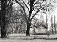 Pumpenhaus  PENTAX K-3 Mark III Monochrome, SMC PENTAX-FA 1.8/77 Limited  - 21.03.2025 -