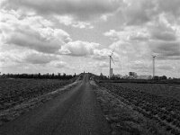 Heimischer Feldhügel  Fuji GS 645 S prof.WIDE 60, Adox CHS 100 II  - 30.05.2025 -