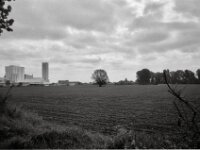 Baum und das Salzbergwerk  CHINON  Auto 3001 Multifocus, Kentmere Pan 400  - 04.05.2026 -