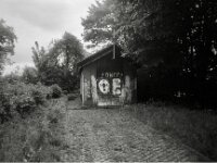 Rechte Blödheit  CHINON  Auto 3001 Multifocus, Kentmere Pan 400  - 04.05.2026 -