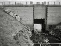 Zufluss  CHINON  Auto 3001 Multifocus, Kentmere Pan 400  - 04.05.2026 -