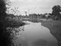 Der Storch am stillen Wasser  CHINON  Auto 3001 Multifocus, Kentmere Pan 400  - 04.05.2026 -