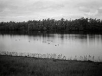 Kleiner See  CHINON  Auto 3001 Multifocus, Kentmere Pan 400  - 04.05.2026 -