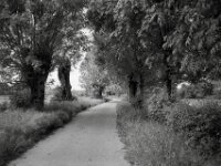 Schöner Weg  CHINON  Auto 3001 Multifocus, Kentmere Pan 400  - 04.05.2026 -