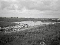 Renaturierter Emscherzufluss in den Rhein  CHINON  Auto 3001 Multifocus, Kentmere Pan 400  - 04.05.2026 -
