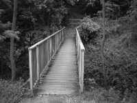Schmale Rotbachbrücke  CHINON  Auto 3001 Multifocus, Kentmere Pan 400  - 04.05.2026 -