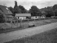Ein Fake kann dich nicht lieben !  CHINON  Auto 3001 Multifocus, Kentmere Pan 400  - 04.05.2026 -