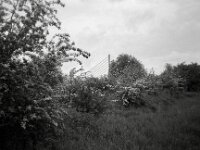 Die Rheinbrücke Wesel  CHINON  Auto 3001 Multifocus, Kentmere Pan 400  - 04.05.2026 -