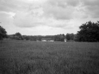 Lippe Naturschutzgebiet  CHINON  Auto 3001 Multifocus, Kentmere Pan 400  - 04.05.2026 -