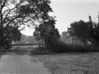 Morgendunst  Pentax MZ-S, SMC PENTAX-FA 1.8/77 Limited, Kentmere Pan 100  - 10.07.2026 -