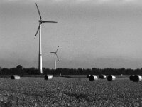 Energie  Pentax MZ-S, SMC PENTAX-FA 1.8/77 Limited, Kentmere Pan 100  - 10.07.2026 -