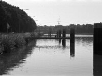 Anleger im Morgendunst  Pentax MZ-S, SMC PENTAX-FA 1.8/77 Limited, Kentmere Pan 100  - 10.07.2026 -