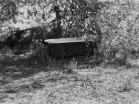Wannentränke  Pentax MZ-S, SMC PENTAX-FA 1.8/77 Limited, Kentmere Pan 100  - 10.07.2026 -