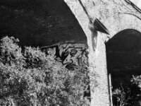 Gesicht  Pentax MZ-S, SMC PENTAX-FA 1.8/77 Limited, Kentmere Pan 100  - 10.07.2026 -