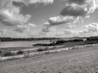 Der Rhein hat wenig Wasser  Pentax K-3 Mark III Monochrome, HD PENTAX - DA* 2.8/ 11-18 ED DC AW - 20.08.2026 -