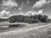 Seerest am Wäldchen  Pentax K-3 Mark III Monochrome, HD PENTAX - DA* 2.8/ 11-18 ED DC AW - 20.08.2026 -