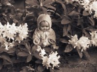 La poupée dans le jardin