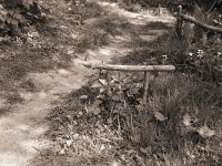 Kleines Torii im Garten  Canham DLC 45; Apo Sironar N 5.6/150;Kodak 320 TXP/320
