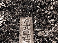 Kanji Zeichen auf dem Gartenweg  Pentax K2, 1.4/50, 400TX/400 - 08.01.2012 -