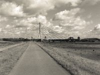 Der Rheindeichweg zur Brücke  Pentax 645N, 2.8/75, Gelbfilter, Bergger Pancro 400@200
