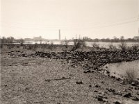 Rheinufer nach dem Hochwasser  Pentax 67II, SMC Takumar 4.5/75, Rollei RPX 100