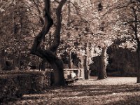 Parkbänke mit Morgensonne im Landschaftspark  Pentax 67II, SMC Takumar 2.8/150, Gelbfilter, Ilford HP5plus@400 : ParkbÃ¤nke Landschaftspark Nord