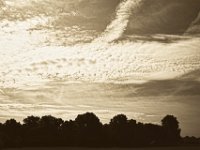Kleine Wolken überm Wäldchen  Pentax K-1, smc PENTAX-FA 31mm F1.8 AL Limited   - 22.Mai 2018 - : Bäume, Himmel, Landschaft, Wolken