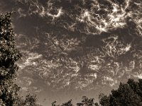 Wolken überm Garten  Pentax K-1, smc PENTAX-FA 31mm F1.8 AL Limited  - 10.08.2018 - : Fenster Ausblick, Garten Erlenstraße, Himmel, Wolken