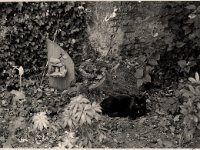 Foxi im Garten Quergasse  Pentax 6x7, 2.4/105, Agfapan 400 - 1993 -