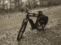 Mein Fahrrad macht Pause  Pentax K-1, smc PENTAX-FA 77mm F1.8 Limited  - 12.08.2018 - : Fahrrad, Rheinufer, Weg, Winora, Yakun Urban