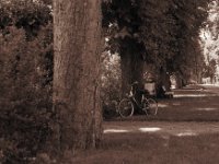 Allee mit Fahrrad im Kloster Maria Veen  Pentax LX, SMC 1.4/50; Adox CHSII 100/64