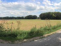 Reekwall 15.August 2016 : Bank, Fahrrad, Felder, Himmel, Landschaft, Panorama, Wald, Wolken