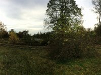 Landschaftspark Nord Duisburg 17.11.2016 : Bäume, Eisenbahn, Landschaft, Landschaftspark Nord
