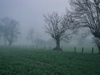 Rundfahrt im Nebel am 06.März 2024