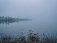 Nebel Südsee  Pentax K-1, HD PENTAX - D FA* 1.4/50 SDM AW  - 06.03.2024 -