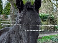 Erinnerst du dich an unser letztes Treffen?