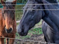 Tschüss, bis zum nächsten Besuch