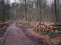 Der Wald als Geldquelle