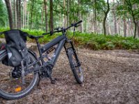 Nächster Stop im Wald an einer Weggabel