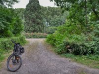 Weg im Park zum alten Brunnen