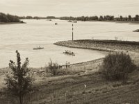 Ruderer auf dem Rhein  Pentax K-1, smc PENTAX-FA 77mm F1.8 Limited  - 09.September 2018 - : Fluss, Landschaft, Lastkahn, Menschen, Rhein, Ruderboot, Schiff