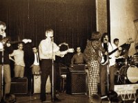 Mein Blümchenhemd spielt den Blues  Canon F1, Blues & Rock Festival Stadthalle im Ruhrgebiet   - Juni 1966 -